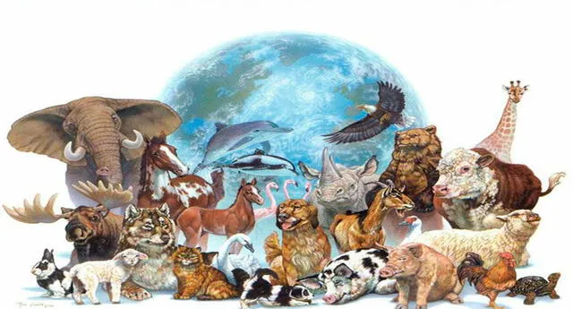 Diversidad animal