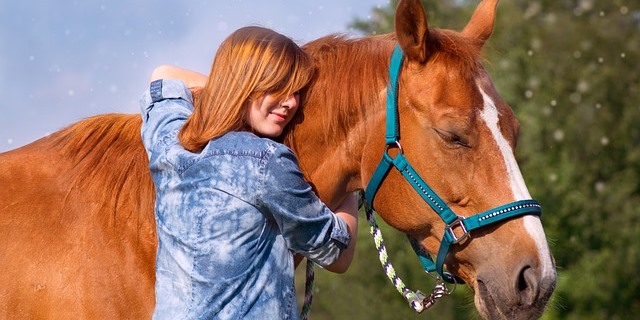 Caballo y humano comunicándose