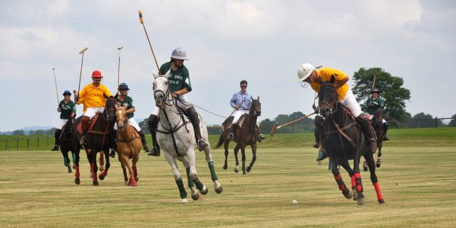Caballos en un partido de polo