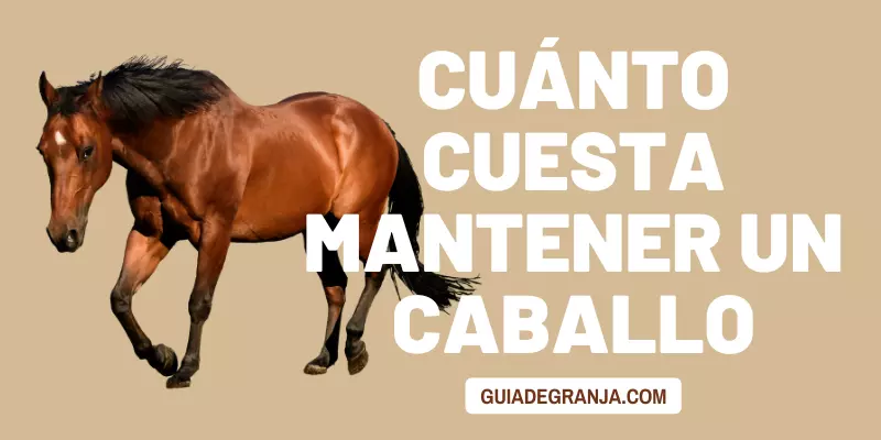 caballo y costos adicionales