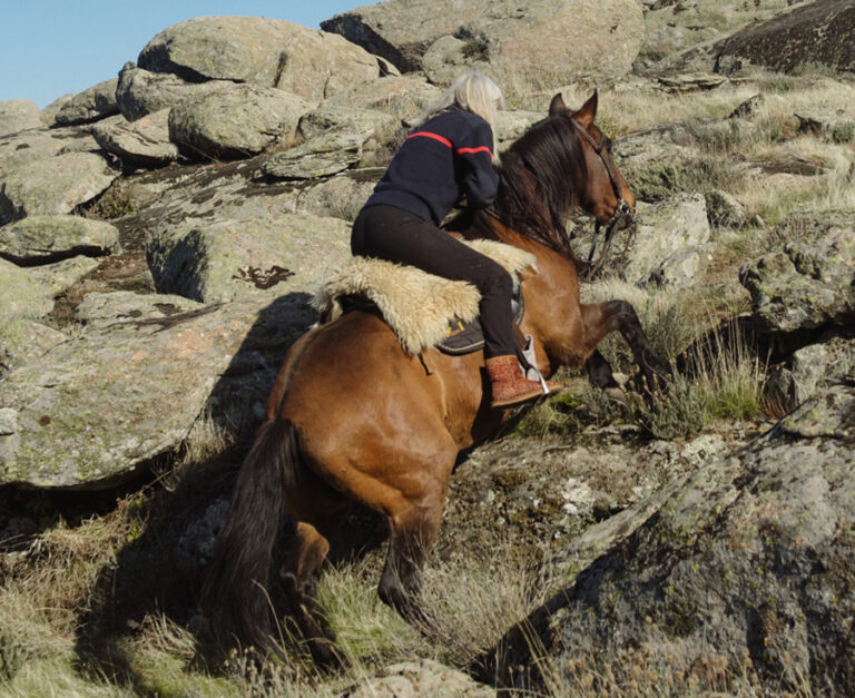 La mejor forma de montar un caballo correctamente: Guía paso a paso