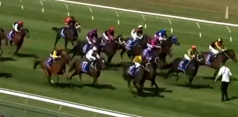 Caballos en plena carrera