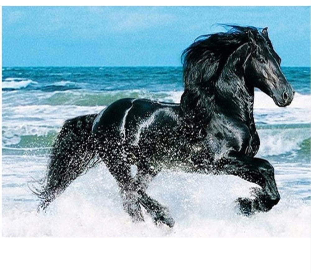 Un caballo negro desafiante