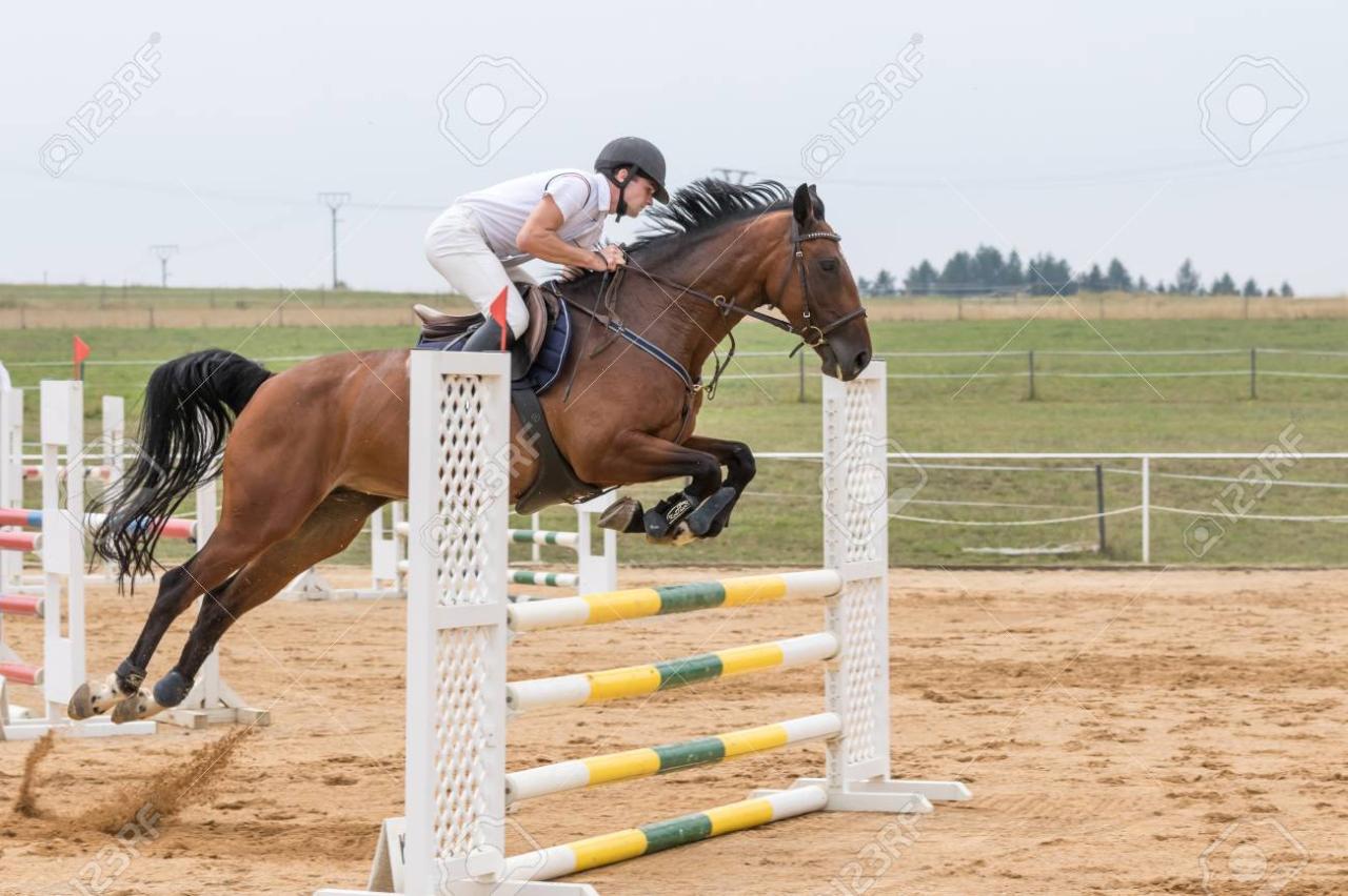 Un jinete saltando con caballo