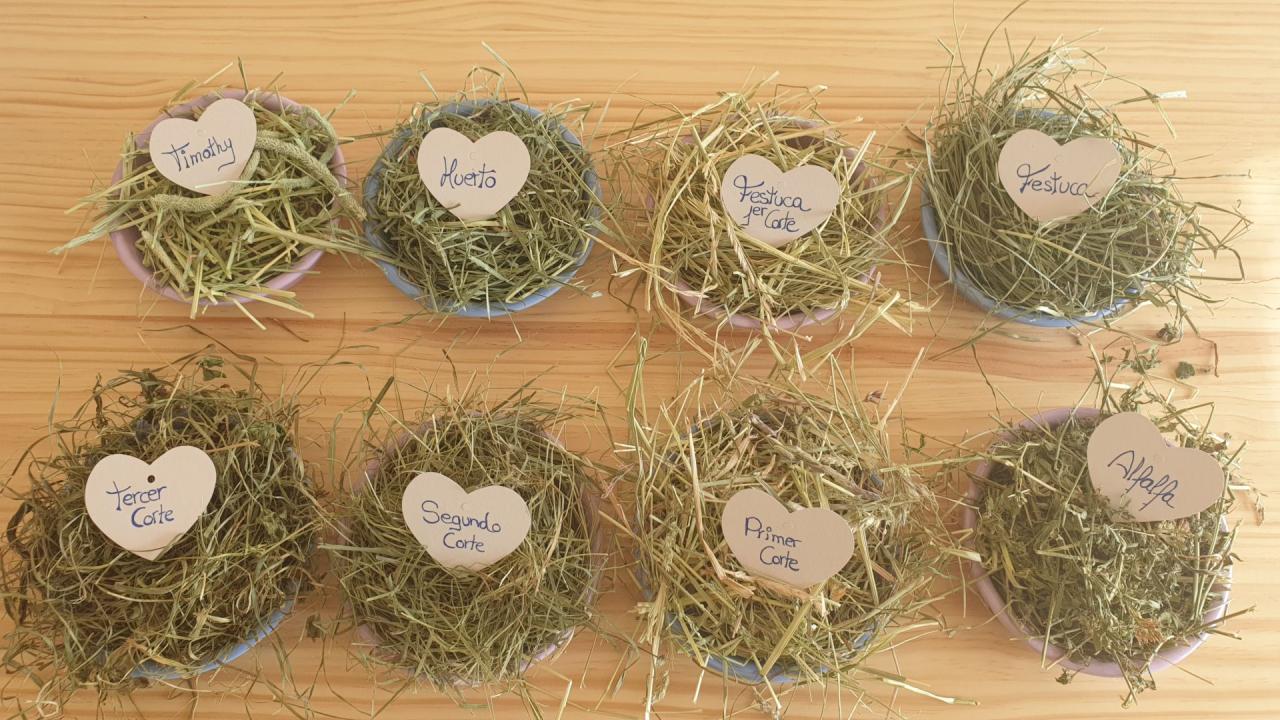 Imagen de heno de calidad