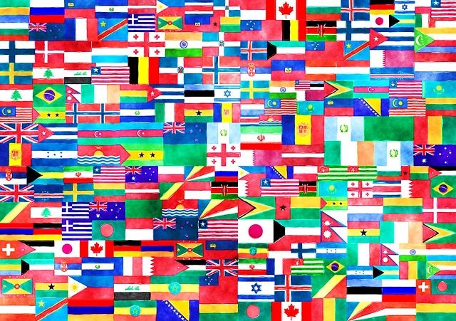Bandera de cada país participante