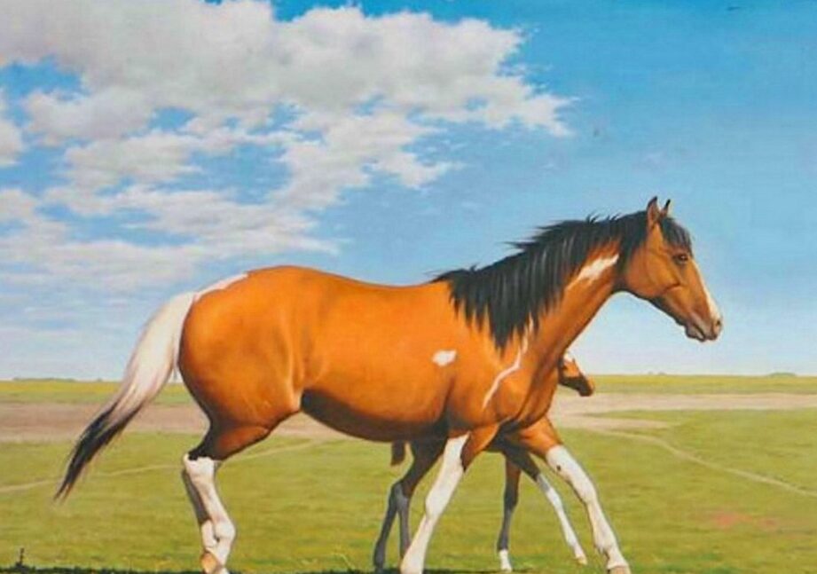 caballo en un prado