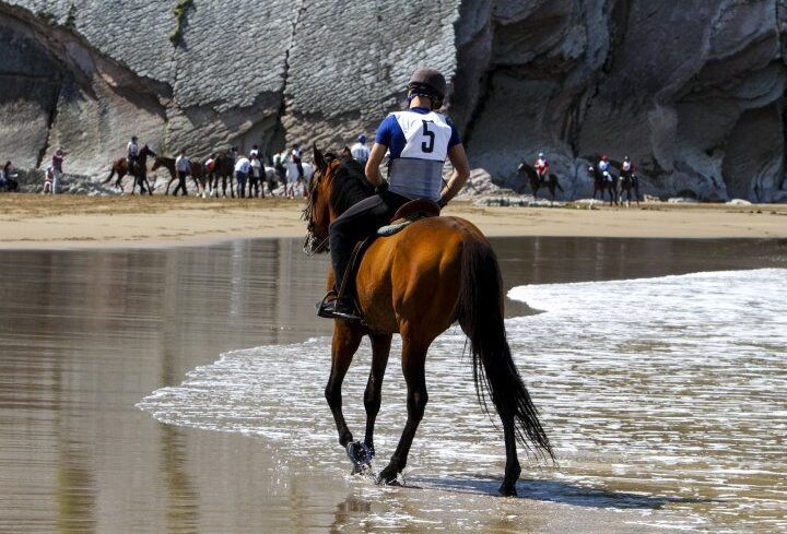 caballos en la playa
