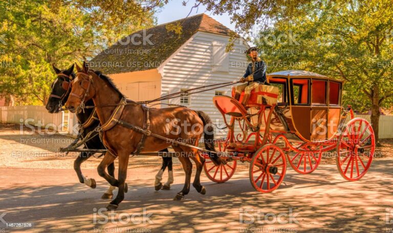 Medio De Transporte Para Pasajeros Jalado Por Caballos hipicaeribe.es