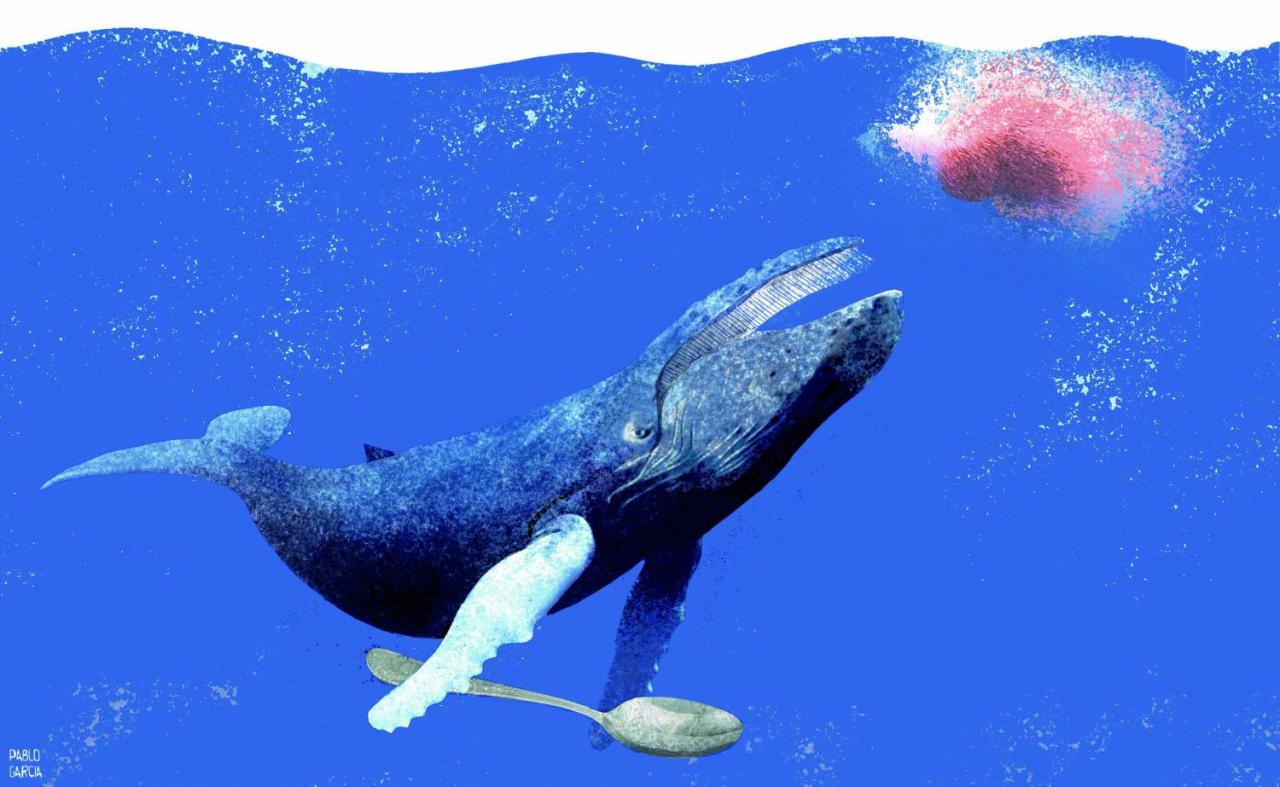 Ballena azul alimentándose de krill