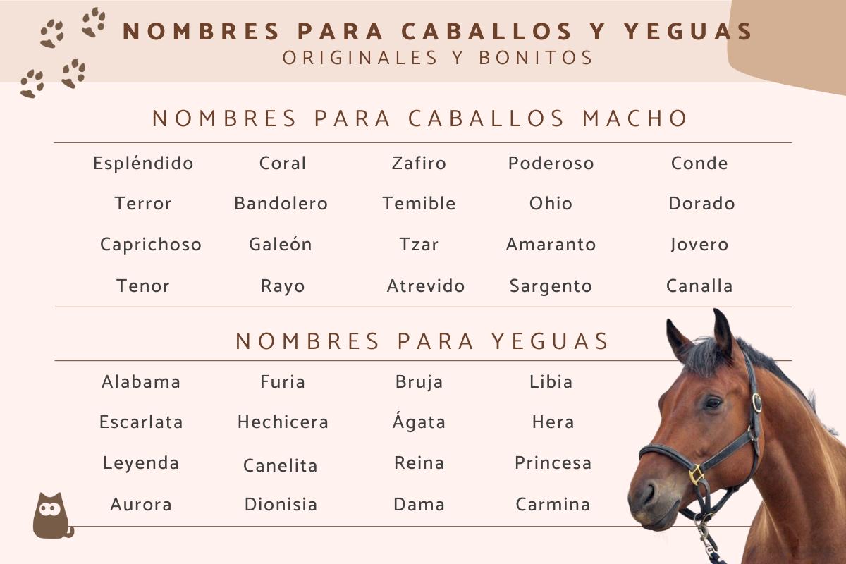 Nombres de caballos y yeguas