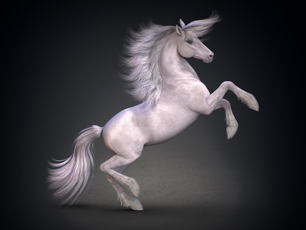 Un hermoso caballo blanco